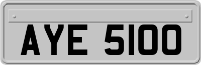 AYE5100