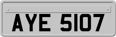 AYE5107