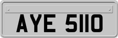 AYE5110