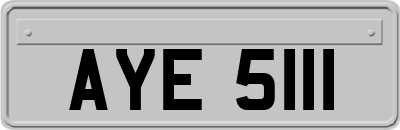 AYE5111