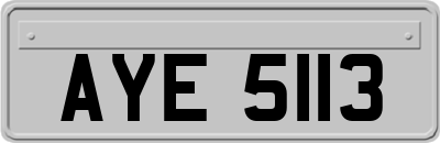AYE5113