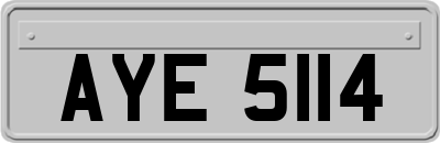 AYE5114