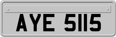 AYE5115