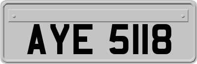 AYE5118