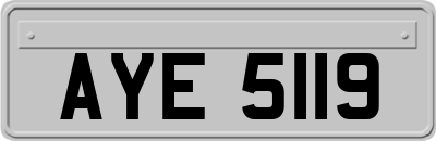 AYE5119