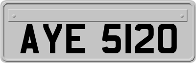 AYE5120
