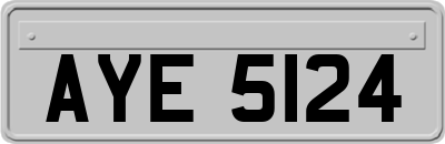 AYE5124