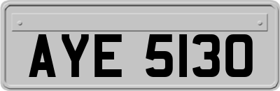 AYE5130