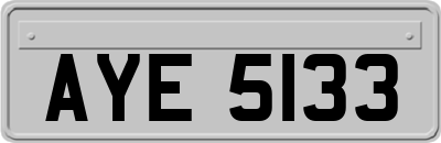 AYE5133