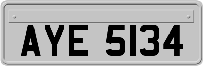 AYE5134