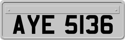 AYE5136