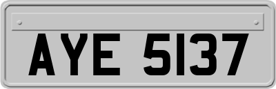 AYE5137