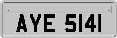 AYE5141
