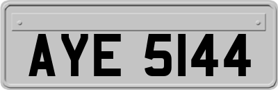 AYE5144