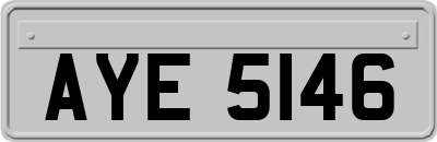AYE5146