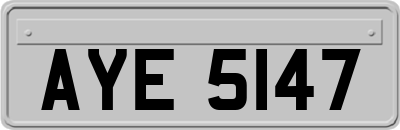 AYE5147