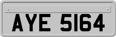 AYE5164