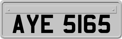 AYE5165