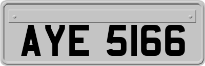 AYE5166