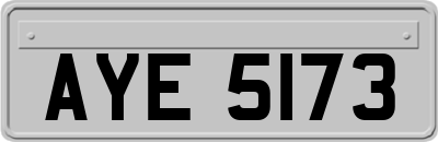 AYE5173