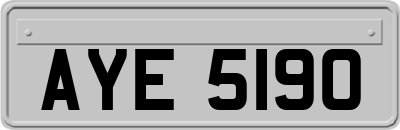 AYE5190