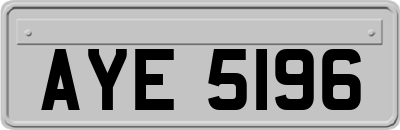 AYE5196