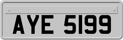 AYE5199