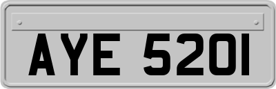 AYE5201