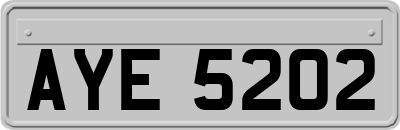 AYE5202