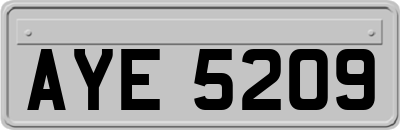 AYE5209