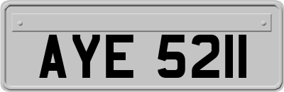 AYE5211