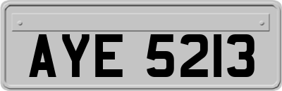 AYE5213