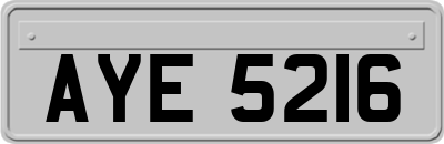 AYE5216