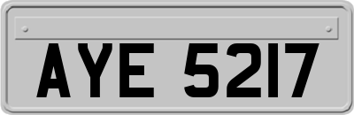AYE5217