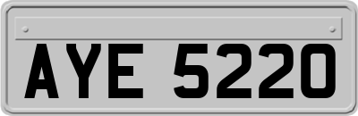 AYE5220