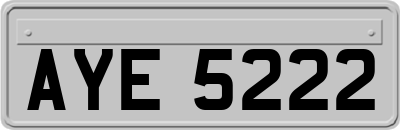 AYE5222