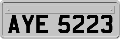 AYE5223