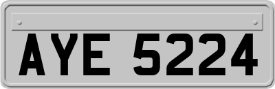 AYE5224