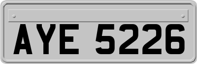 AYE5226