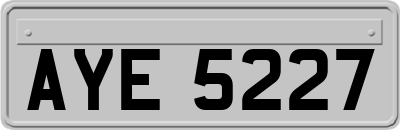 AYE5227