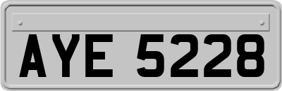 AYE5228