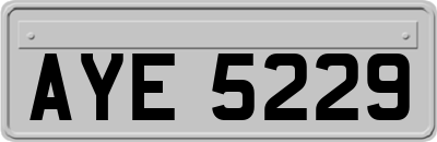 AYE5229