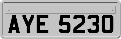 AYE5230