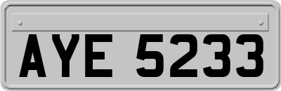 AYE5233