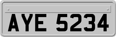 AYE5234