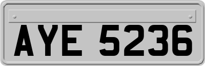 AYE5236