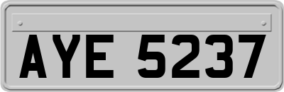 AYE5237