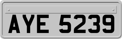 AYE5239