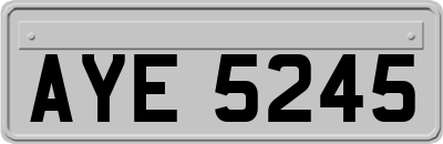 AYE5245