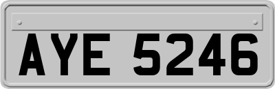 AYE5246